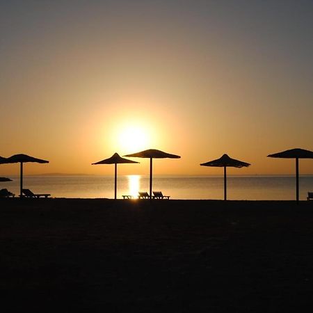 Aparthotel Cecelia à Hurghada Extérieur photo